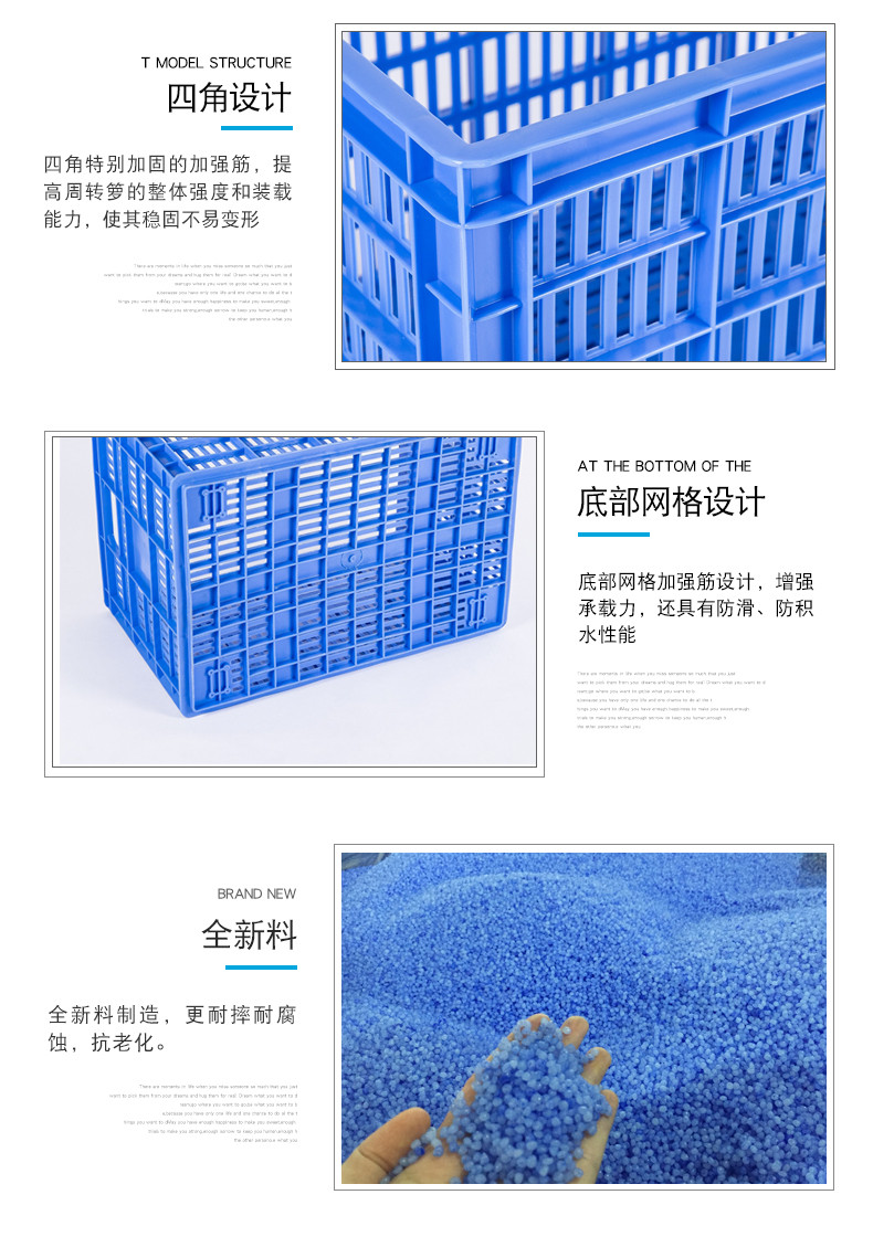 3號周轉(zhuǎn)蘿詳情 (3)